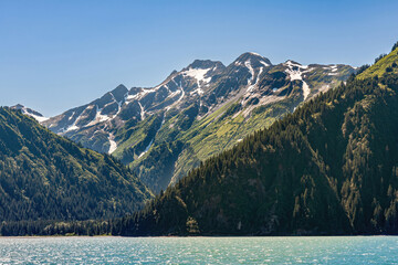 Resurrection Bay, Alaska, USA - July 22, 2011: Shades of green forest vegetation on flanks of...