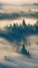 Brushed aluminium prints Forest in fog Misty forest