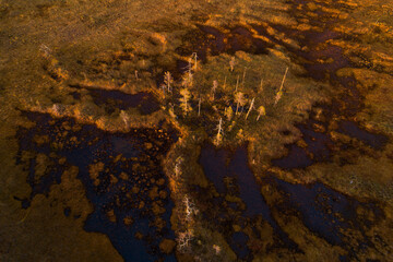 An aerial of a beautiful autumnal bog during a colorful sunset near Hossa National Park, Northern Finland	