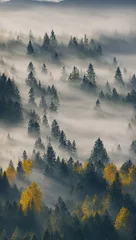 Fototapete Wald im Nebel Nebliger Wald