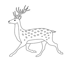 Vector flat hand drawn outline deer isolated on white background