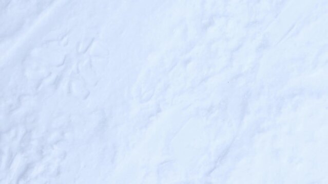 Ski trail texture loop. Ski run traces background. Snow skiing track surface.