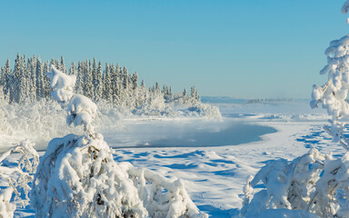 Fototapeta na wymiar Winter Wilderness Landscape along the Tanana River, Alaska