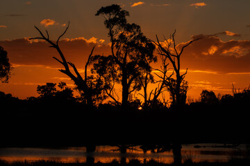 Sunset in country Victoria.