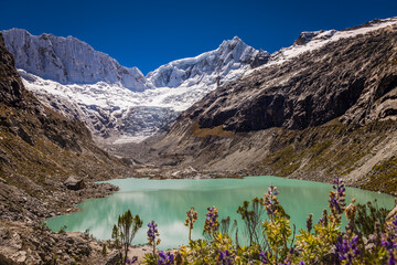 Llaca lake in Cordillera Blanca with snowcapped Andes, Ancash, Peru