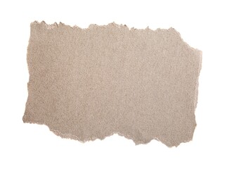 Piece of paper isolated on white. Space for text