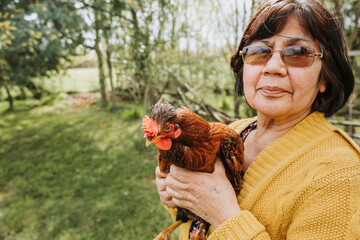 Close up of an latin latinelder farmer woman holding red chicken breed in a rural scenery. Copy...