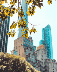 autumn in the city