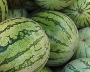 watermelons