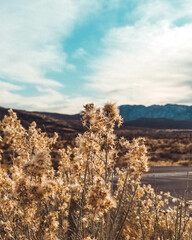 autumn in the mountains
