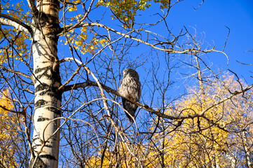 bird on a branch