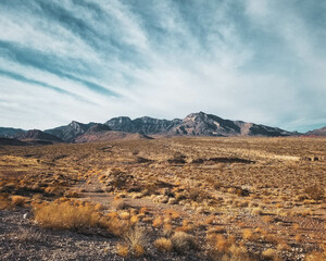landscape in the desert