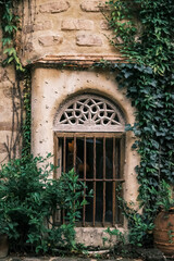 Fototapeta na wymiar Exterior design of window traditional building style with vines on the wall