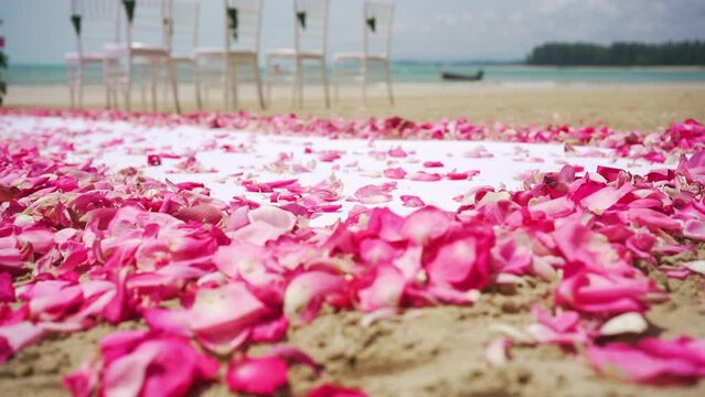 Close up pink roses and peonies set up wedding ceremony.  beach seaside floral fresh sunny summer. copy space