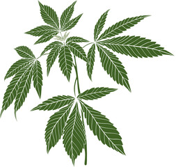 simplicity cannabis plant freehand drawing - obrazy, fototapety, plakaty