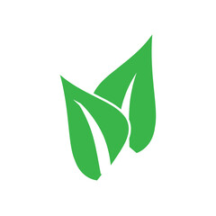 leaf icon