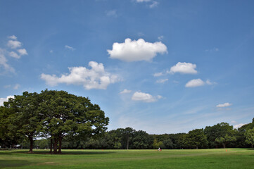 Fototapeta na wymiar 青空と雲と公園