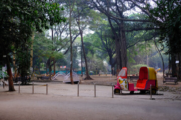 04 December 2022, Pune, India, Empress Botanical Garden, a green paradise in the heart of Pune, There are many rare exotic and indigenous trees are grown and preserved in the garden.