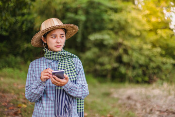 woman farmer using technology mobile in rice field 