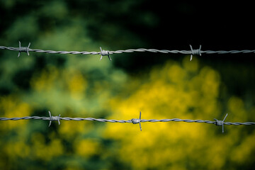 barbed wire fence