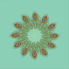 peacock feather illustration line art vector design