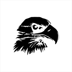 eagle head isolated on white