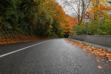 The road in the autumn forest. A country road in the autumn in the forest. Yellow and orange leaves on trees in the morning forest with a roadway. An asphalt road with fallen leaves.