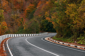 Fototapeta premium An asphalt road with fallen leaves in an autumn forest. Highway in the mountains on an autumn day among the mountains, an empty paved road. Focus on the foreground. The road in the autumn forest. 