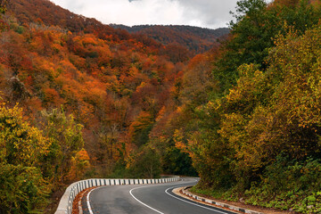 Highway in the mountains on an autumn day among the mountains, an empty paved road. Yellow and orange leaves on trees in the morning forest with a roadway. 