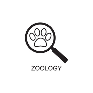 Zoology Bundle - 20 Designs By JobeAub | TheHungryJPEG