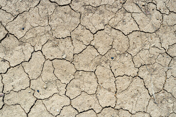 Brown dry soil or desert cracked ground texture background,land arid earth warming.