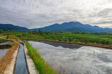 View of Indonesia in the morning, terracing rice fields from Mount Sumatra