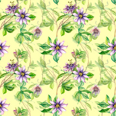 Passion flower plant watercolor seamless pattern isolated on yellow.