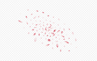 Light Petal Vector Transparent Background. Lotus