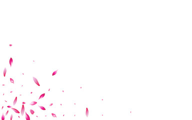 Obraz na płótnie Canvas Pink Apple Petal Vector White Background.