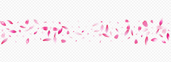Red Rose Vector Panoramic Transparent Background.