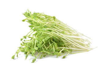 snow pea sprouts on white background