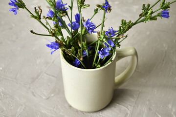 chicory powder and chicory flowers in a coffee mug