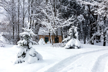 House in the snowy forest