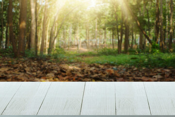 Beautiful wooden floor and forest background with nature wildlife which is Agriculture concept and farm products business