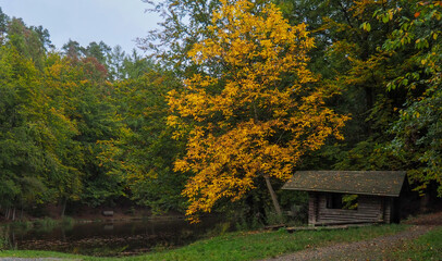 Bright orange tree leaves bring a pop of color to a lakeside scene with a park hut in Germany.