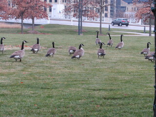 la banda de milwaukee