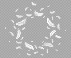 Feathers frame, round border of white fluffy flying down. Decorative design element of birds or angel plumage isolated on transparent background. Graphic element, Realistic 3d vector illustration