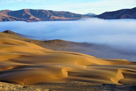 Niebla sobre Dunas Doradas