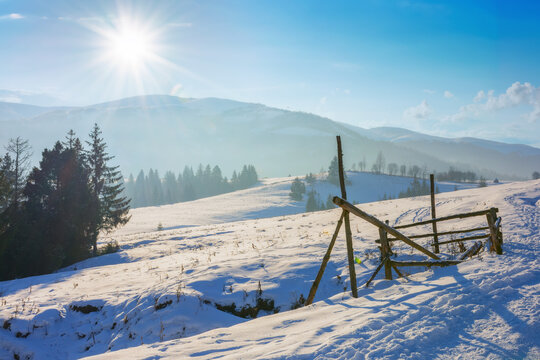 carpathian countryside in evening light. trees on a snowy rural fields and hill. snow capped peak and forested mountains in the distance. sun above the borzhava ridge