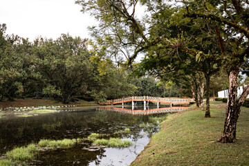 Fototapeta na wymiar Bridge in Taining Lake Gardens Park, Malaysia