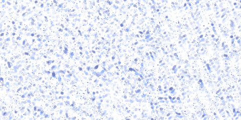 Blue Marble Texture Vector Images