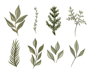 Set of herbal branch. green and gld leaves. Wedding concept. Vector arrangements for greeting card or invitation design.
