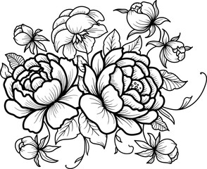 Obraz premium Blooming Rose, peony line art illustration. Hand drawn illustration. This art is perfect for invitation cards, autumn and summer decor, greeting cards, posters, scrapbooking, print, wallpaper.