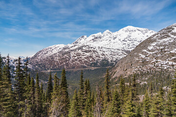 Obraz premium Alaska Railroad